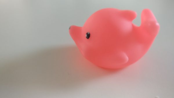 Badvisjes met piepgeluid - Afbeelding 3