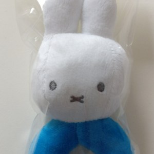 Nijntje Rammelaar - Blauw