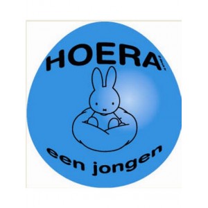 Nijntje ballon jongen