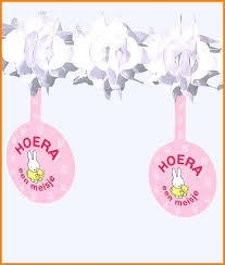 Nijntje Hoera een meisje slinger