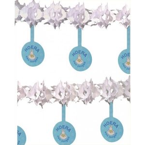 Nijntje Slinger Hoera een jongen