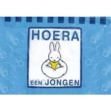 Nijntje gevelvlag BLAUW