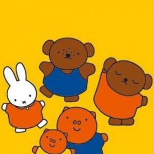 Nijntje Uitnodigingskaarten (6 stuks)