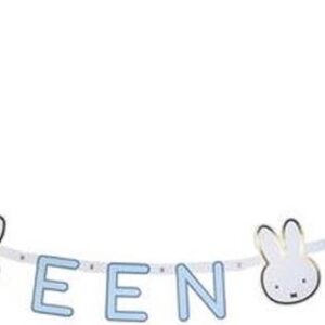 Nijntje Hoera een jongen