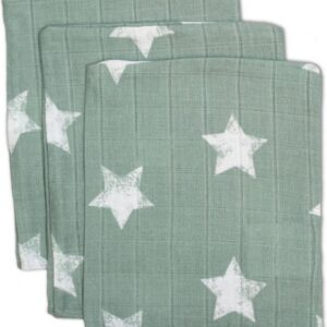 Briljant Robin Stone Green Hydrofiele Washandjes - 3 stuks
