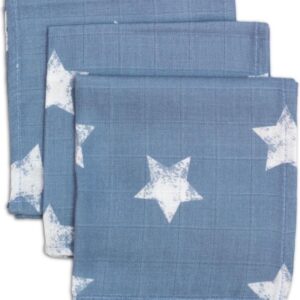 Briljant Baby Robin Silver Blue Hydrofiel Monddoekjes