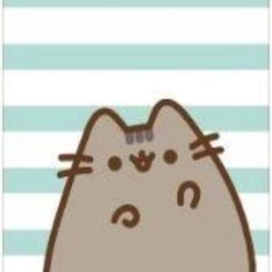 Pusheen Strandlaken - Badlaken - Groen - Wit - 70x140cm