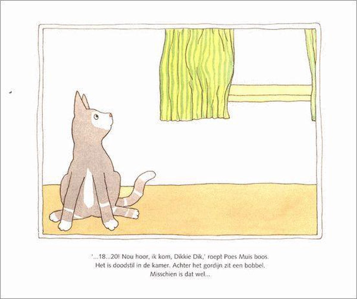 Dikkie Dik - Waar is Dikkie Dik? - Afbeelding 10